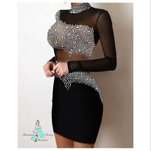 Mesh Bodycon Dresx